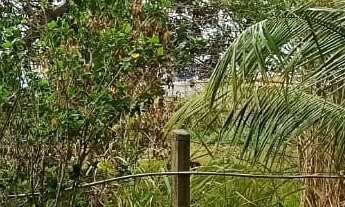 Imagem 5: Excelente terreno com 574,00m² de frente para Rua Perimirim, na Praia do Dentinho em Praia