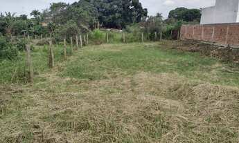 Imagem 2: Excelente terreno com escritura e RGI, medindo 15x30, 450,00m², a 200 metros da Rodovia, ó