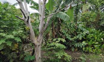 Imagem 7: Imóvel para fins comerciais, casa com 03 quartos, sala, cozinha, banheiro, área de serviço