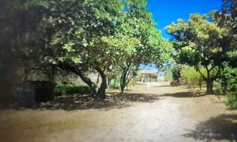 Imagem 3: Excelente sítio com 138.545,00m², composto por 01 casa de 2 andares com 05 quartos, 02 ban