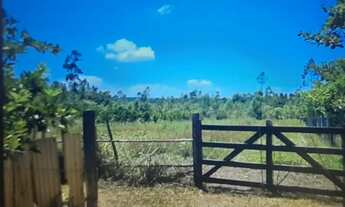 Imagem 4: Excelente sítio com 138.545,00m², composto por 01 casa de 2 andares com 05 quartos, 02 ban