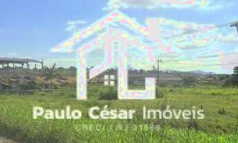 Imagem 1: Excelente área com 1.000m², com frente para Rodovia Amaral Peixoto, próximo à entrada de P