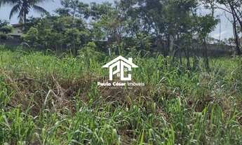 Imagem 3: Terreno em ótima localização com vista total para lagoa, local alto e com bom acesso. Ter