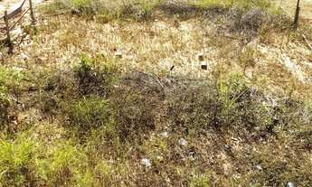 Imagem 4: TERRENO RESIDENCIAL em INDAIATUBA - SP, Jd dos Colibris