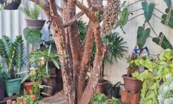 Imagem 5: Casa RESIDENCIAL em INDAIATUBA - SP, CIDADE NOVA