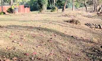 Imagem 3: TERRENO RESIDENCIAL em Elias Fausto - SP, Cardeal