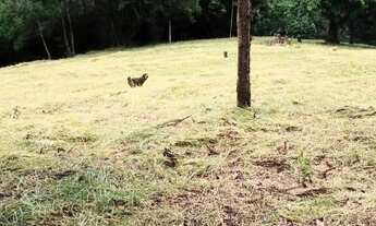 Imagem 2: TERRENO RESIDENCIAL em Elias Fausto - SP, Cardeal