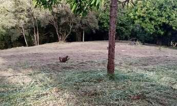 Imagem 4: TERRENO RESIDENCIAL em Elias Fausto - SP, Cardeal