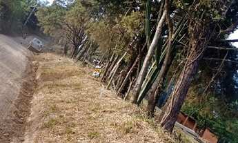 Imagem 7: TERRENO RESIDENCIAL em Elias Fausto - SP, Cardeal