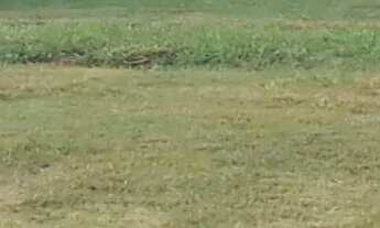 Imagem 3: Terreno em Condomínio, 720m², à venda em Araçoiaba da Serra, Condomínio Residencial Eviden