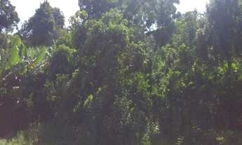 Imagem 4: CHACARA À VENDA NO JARDIM DO SOL - SOROCABA/SP