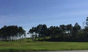 Imagem: ÁREA PARA LOCAÇÃO NO PARQUE TECNOLÓGICO