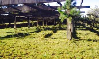 Imagem 2: ÁREA À VENDA NA APARECIDINHA - SOROCABA/SP