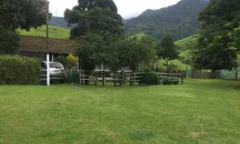 Imagem 3: FAZENDA À VENDA NO PASSA VINTE - CRUZEIRO/SP