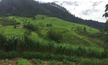 Imagem 4: FAZENDA À VENDA NO PASSA VINTE - CRUZEIRO/SP