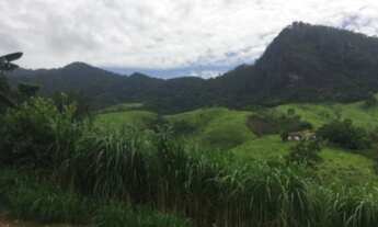 Imagem 5: FAZENDA À VENDA NO PASSA VINTE - CRUZEIRO/SP