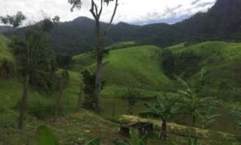 Imagem 6: FAZENDA À VENDA NO PASSA VINTE - CRUZEIRO/SP