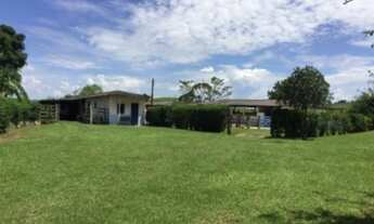 Imagem 7: FAZENDA À VENDA NO PASSA VINTE - CRUZEIRO/SP