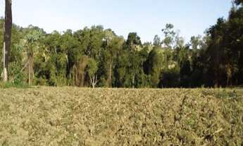 Imagem 6: TERRENO À VENDA NO APARECIDA - ARAÇOIABA DA SERRA/SP