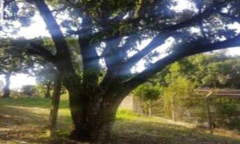 Imagem 5: CHÁCARA À VENDA NO JARDIM COLONIAL 1 - ARAÇOIABA DA SERRA/SP
