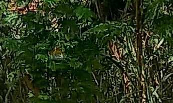 Imagem 2: TERRENO À VENDA NO JARDIM SANTA ROSA - SOROCABA/SP