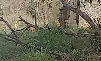 Imagem: TERRENO À VENDA NO JARDIM SANTA ROSA