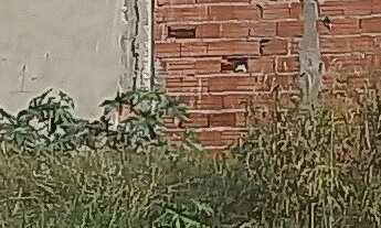 Imagem: TERRENO À VENDA NO BAIRRO SANTA ROSA