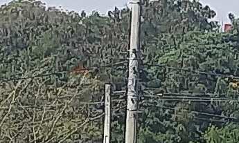 Imagem: TERRENO À VENDA NO JARDIM SANTA ROSA