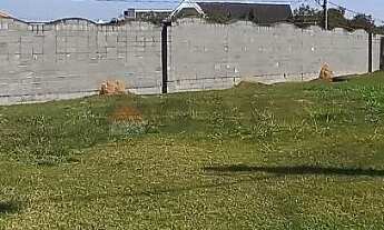 Imagem 6: TERRENO EM CONDOMÍNIO À VENDA NO VILLA SUIÇA - SOROCABA/SP