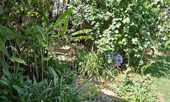 Imagem 4: CHÁCARA PARA LOCAÇÃO BRIGADEIRO TOBIAS - SOROCABA/SP