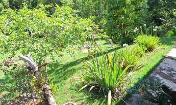 Imagem 6: CHÁCARA PARA LOCAÇÃO BRIGADEIRO TOBIAS - SOROCABA/SP