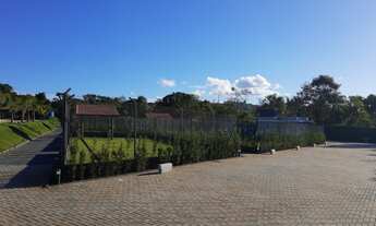 Imagem: ÁREA PARA LOCAÇÃO NO BRIGADEIRO TOBIAS