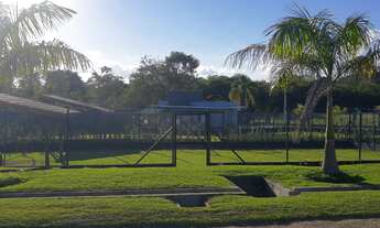 Imagem 7: ÁREA PARA LOCAÇÃO NO BRIGADEIRO TOBIAS - SOROCABA/SP