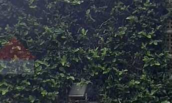 Imagem: CASA PARA LOCAÇÃO NO JARDIM PAGLIATO