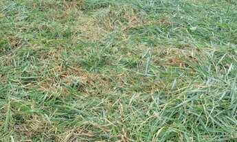 Imagem: TERRENO Á VENDA NO JARDIM PIAZZA DI ROMA