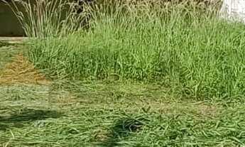 Imagem 3: TERRENO PARA LOCAÇÃO NO JARDIM PRESTES DE BARROS - SOROCABA/SP