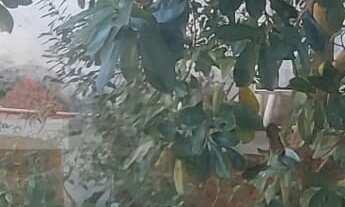 Imagem 7: SALA COMERCIAL PARA LOCAÇÃO NO CENTRO - SOROCABA/SP