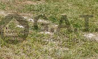 Imagem 2: TERRENO EM CONDOMÍNIO À VENDA NO PARQUE IBITI RESERVA - SOROCABA/SP