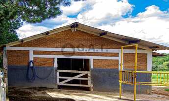 Imagem 3: CHÁCARA À VENDA NO BAIRRO APARECIDINHA - SOROCABA/SP