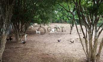 Imagem 6: CHÁCARA À VENDA NO BAIRRO APARECIDINHA - SOROCABA/SP