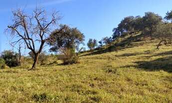 Imagem 5: ÁREA À VENDA NO CAPUTERA - SOROCABA/SP