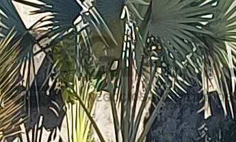 Imagem 2: APARTAMENTO PARA LOCAÇÃO NO RESIDENCIAL SALAMANCA - SOROCABA/SP