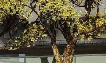 Imagem: Apartamento de Alto Padrão à Venda em