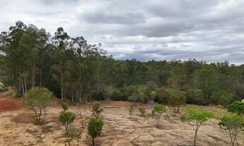 Imagem 7: Terreno Industrial/Comercial de 5.000 m² à Venda no Distrito Industrial de Iperó-SP: Oport