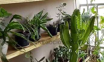 Imagem 7: Apartamento à venda na Vila Rica, Sorocaba-SP: 2 quartos, 1 suíte, 1 sala, 1 banheiro, 1 v