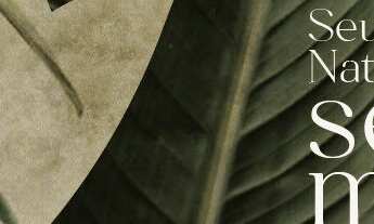 Imagem 5: Apartamento com 2 dormitórios a 1,5km da praia do Morro das Pedras - Ribeirão da Ilha - F