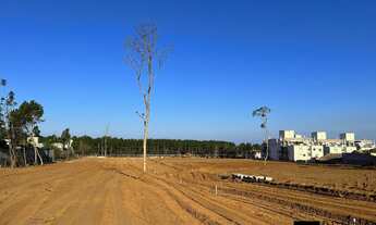 Imagem: Terreno com 377 m² no novo loteamento Bosque