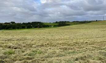 Imagem: VENDO LOTE ALPHAVILLE BR 232 Terreno Comercial