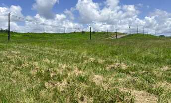 Imagem 3: Oportunidade Única: Vendo Área Comercial de 84.000m² no Bairro Manassu, Jaboatão dos Guara