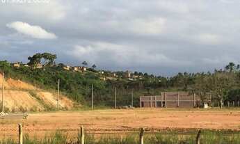 Imagem: Zé Maria Corretor de Imoveis (81)99171